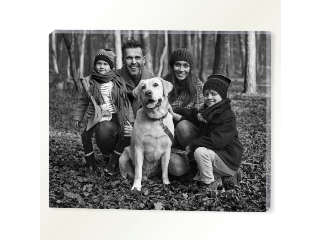 OBRAZ • banner na šírku foto čb