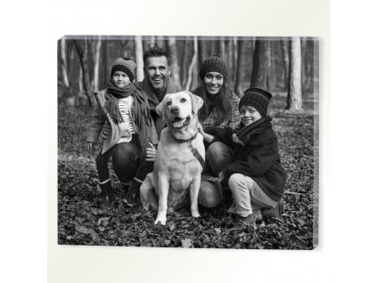 OBRAZ • banner na šírku foto čb